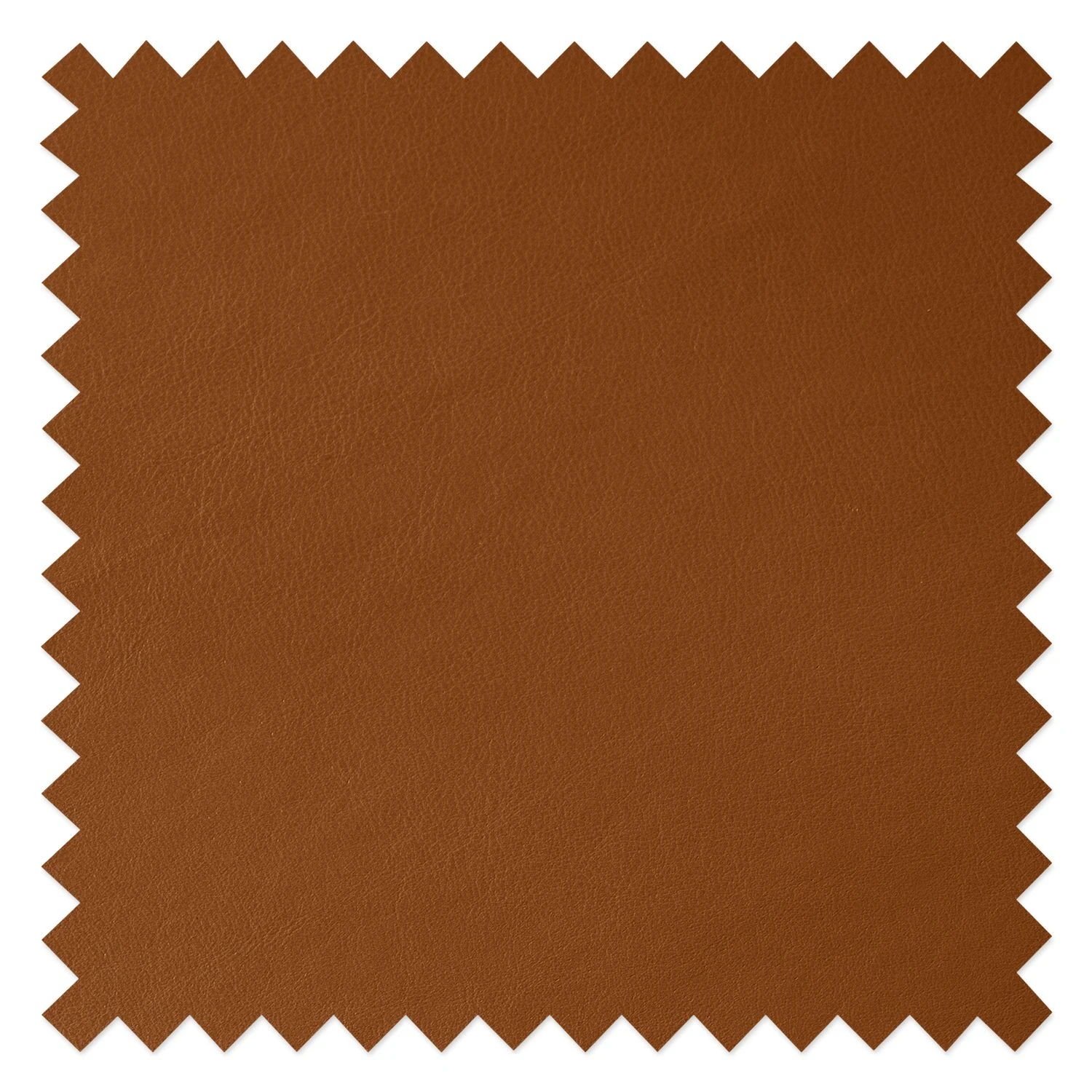 Studio Copenhagen Chaises Wilga V (lot de 2) - Cuir véritable 10 Studio Copenhagen Chaises Wilga V (lot de 2) - Cuir véritable – Image 8