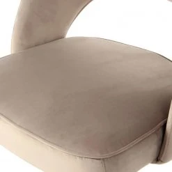 Kayoom Chaises capitonnées Courtney (lot de 2) - Velours / Partiellement en eucalyptus massif - Taupe / Doré 14 Kayoom Chaises capitonnées Courtney (lot de 2) - Velours / Partiellement en eucalyptus massif - Taupe / Doré -Chaises Soldes 1000214234 200529 06082900444 DETAILS P000000001000214234