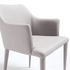 Loftscape Chaises à accoudoirs Dayline II (2 él.) - Imitation cuir / Acier - Gris clair 11 Loftscape Chaises à accoudoirs Dayline II (2 él.) - Imitation cuir / Acier - Gris clair -Chaises Soldes 1000216162 200623 13432900030 DETAILS P000000001000216162