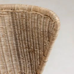 Red Living Chaises Rantin(lot de 2) - Rotin / Acier - Rotin / Noir -Chaises Soldes 1000216198 200623 13474900280 DETAILS P000000001000216198