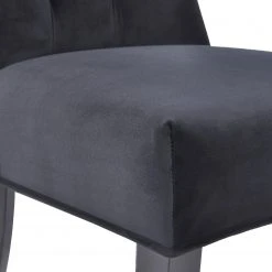 Maison Belfort Chaises capitonnées Waroona 2 (lot de 2) - Noir - Noir -Chaises Soldes 1000260656 211102 133602000076 DETAILS P000000001000260656