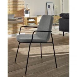 Fredriks Chaises à accoudoirs Gina (lot de 2) - Gris 15 Fredriks Chaises à accoudoirs Gina (lot de 2) - Gris -Chaises Soldes 1000274236 210618 10464500276 MOOD DETAILS P000000001000274236 mood