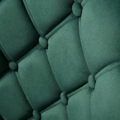 Red Living Chaises capitonnées Kaman (lot de 2) - Velours / Fer - Vert foncé / Noir 13 Red Living Chaises capitonnées Kaman (lot de 2) - Velours / Fer - Vert foncé / Noir -Chaises Soldes 1000303602 211117 164739000103 DETAILS P000000001000303602