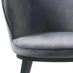 Red Living Chaise à accoudoirs Cheia II - Velours / Fer - Gris clair / Noir -Chaises Soldes 1000303607 211117 164740000125 DETAILS P000000001000303607