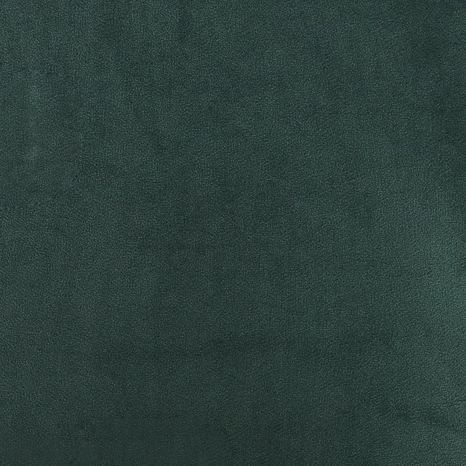 Loftscape Chaises capitonnées Melito II (lot de 2) - Vert sapin 9 Loftscape Chaises capitonnées Melito II (lot de 2) - Vert sapin – Image 7