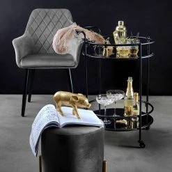 Butlers Chaises à accoudoirs VELVET (lot de 2) - Polyester / Métal - Gris -Chaises Soldes 1000343995 220406 020 MOOD DETAILS P000000001000343995 mood