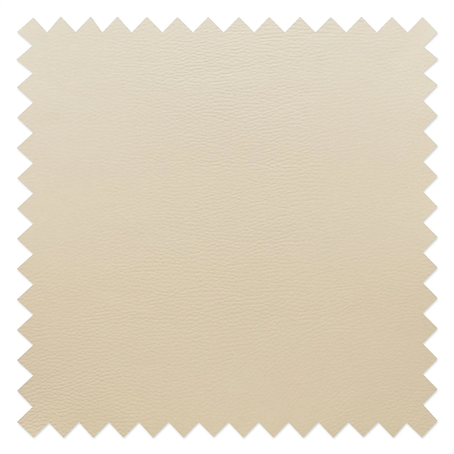 Studio Copenhagen Chaises rembourrées Loca (lot de 2) - Cuir Tupi : Crème 5 Studio Copenhagen Chaises rembourrées Loca (lot de 2) - Cuir Tupi : Crème – Image 3